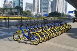 [10分钟教程]阿克苏市电话号码咨询_哔哩哔哩-3